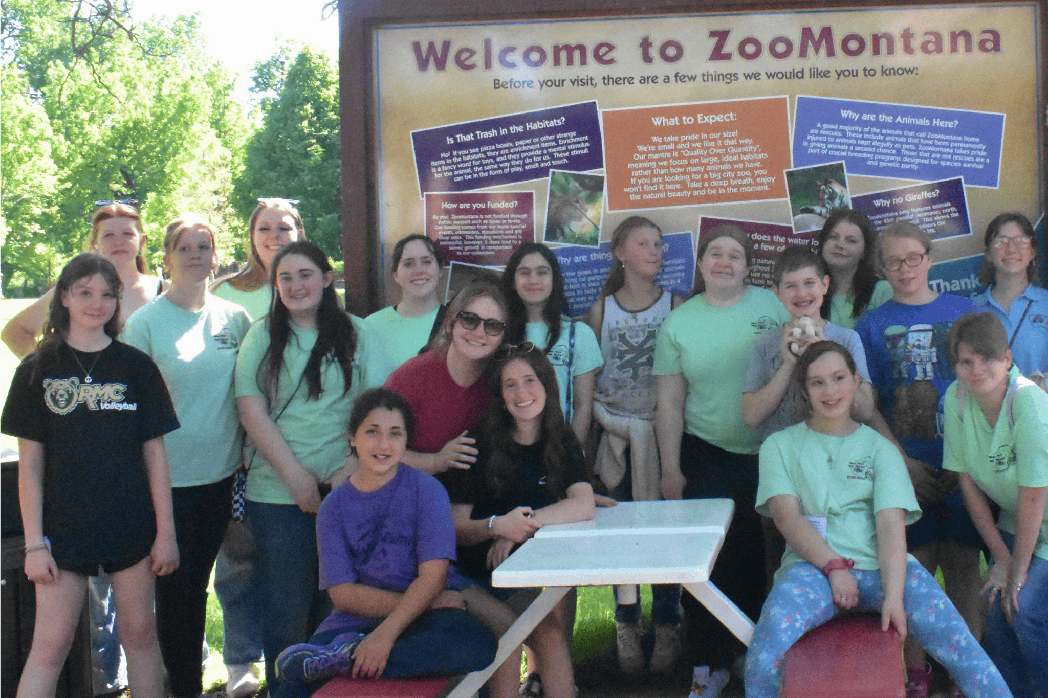 website resizing iorg (10)